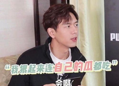 李现的吃瓜,娱乐圈的“瓜田”风云再起