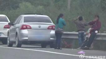 高速上吃瓜群众,揭秘高速公路上的奇闻轶事