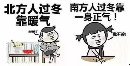 瓜娃子冷吃,探寻川味小吃背后的独特魅力