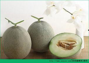 吃哈密瓜味生病了,一尝成疾的警示