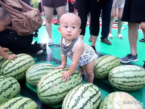 吃瓜总汇txt,揭秘娱乐圈幕后故事