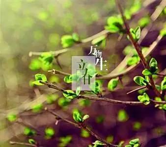 立春后吃吊瓜,迎春养生新风尚