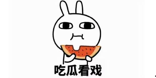 表演吃瓜文案短句,趣味横生的吃瓜文案大盘点