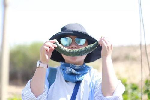 跟着nana正确吃瓜,健康生活新主张