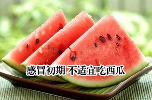 感冒咳嗽吃瓜,吃瓜也能缓解不适？揭秘瓜类食材的神奇功效