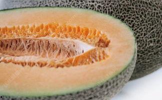 吃哈密瓜舌头疼,舌尖之旅引发头痛之谜