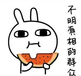 搞笑文案吃瓜引流,瓜田奇遇，快来一起吃瓜狂欢！
