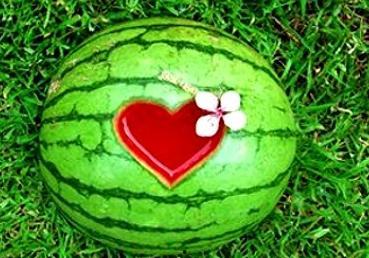 周公解梦吃瓜吃到虫子,吃瓜遇虫，寓意何在？