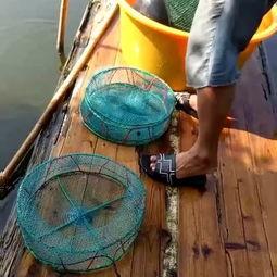 吃瓜渔民林有有,吃瓜渔民的趣味人生