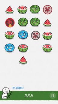 奇葩汇总-泡泡吃瓜,揭秘奇葩汇总中的趣味瞬间