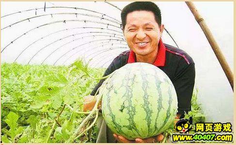 黔西吃瓜墙,揭秘当地独特美食文化