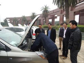 吃瓜群众爱汽车