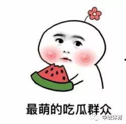 辞希在线吃瓜,揭秘网络吃瓜文化的魅力与争议