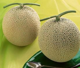 吃哈密瓜舌头,甜蜜滋味，回味无穷