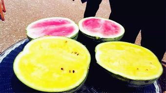 吃瓜爆料偃师,偃师背后的惊人真相