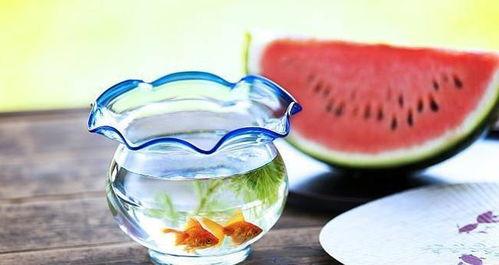 出钱吃瓜,网络时代下的新型娱乐消费现象