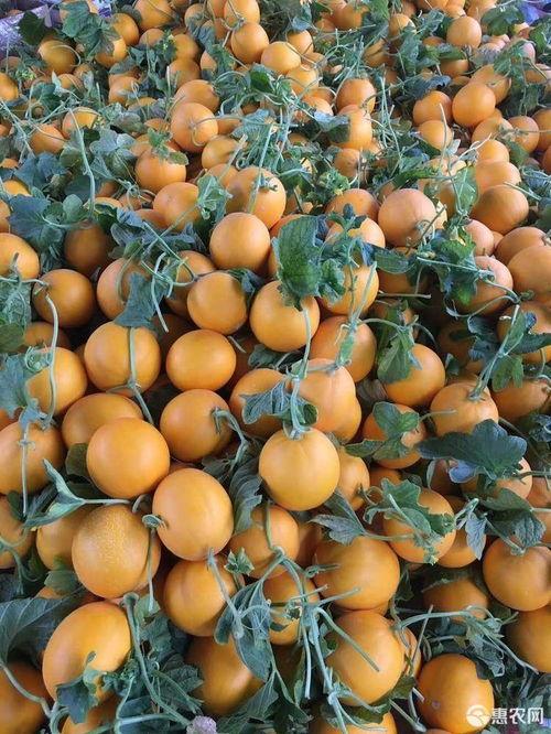 九红瑞瓜怎么吃,解锁美味新体验