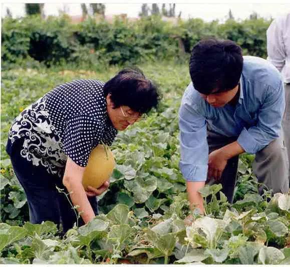 农村公婆另类吃瓜,揭秘乡村生活新风尚