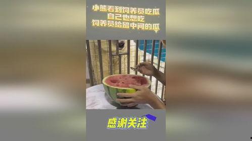 吃瓜小熊熬夜,揭秘娱乐圈背后的故事