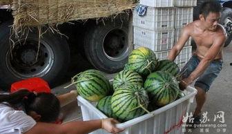 超强吃瓜能力,超强吃瓜能力带你领略幕后风云