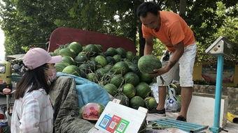 济宁卫校吃瓜,校园生活的一抹趣味色彩
