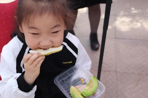 济宁卫校吃瓜,校园生活的一抹趣味色彩