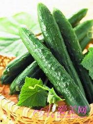 吃瓜清热解毒吗怎么吃,吃瓜清热解毒，这样做最有效