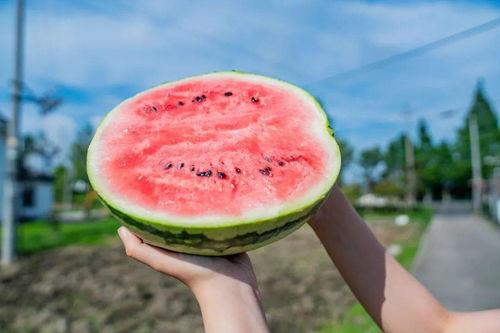 老卡吃瓜,揭秘娱乐圈幕后真相