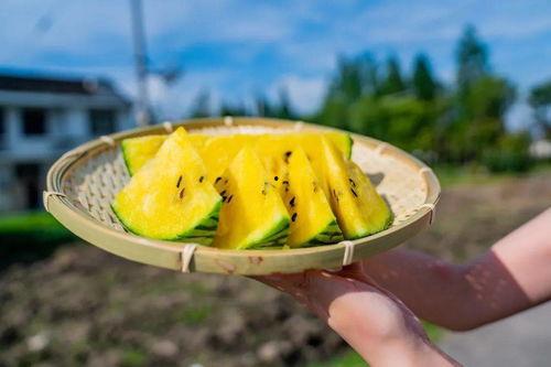 老卡吃瓜,揭秘娱乐圈幕后真相