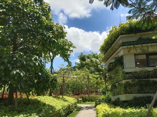 吃瓜群众东山公园,吃瓜群众的热闹聚集地