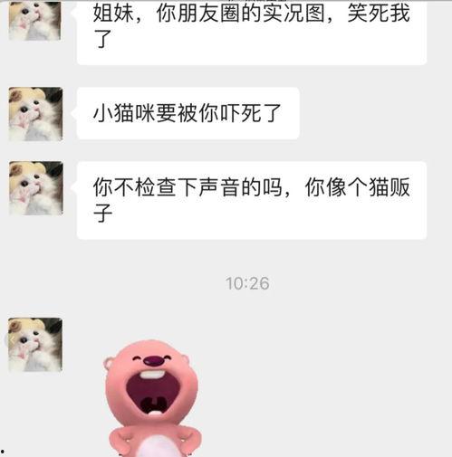 吃瓜微信聊聊,揭秘微信聊天背后的趣味与真相