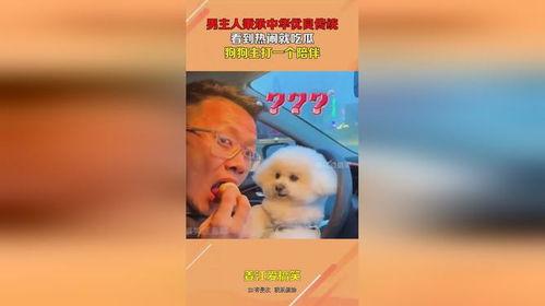 狗狗吃瓜看热闹配音,萌态配音笑翻天