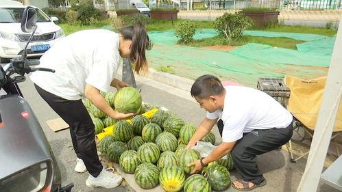 吃瓜5块,吃瓜5块的幕后故事