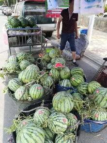 烟台画院吃瓜事件,一场艺术界的争议风暴