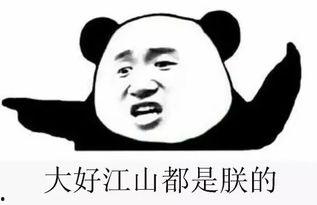 进群吃瓜群,社交新潮流背后的故事与现象