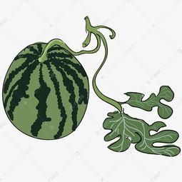 吃瓜图片抠图,一图看尽吃瓜达人抠图绝技