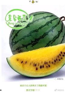 全许昌吃瓜哥,揭秘当地美食背后的故事