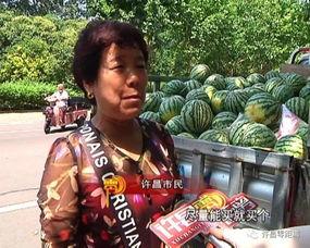 全许昌吃瓜哥,揭秘当地美食背后的故事