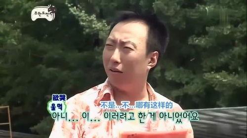 挑战吃瓜游戏攻略,轻松通关，瓜果飘香！