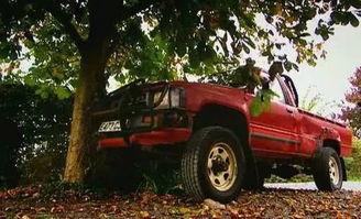 自由吃瓜基地最爱的车,揭秘最爱的梦幻座驾