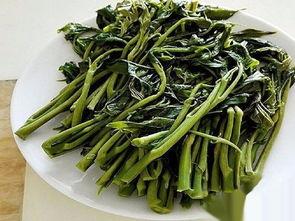 篙瓜晒干怎么吃,传统食材的创意烹饪体验