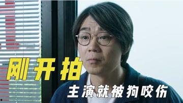 吃瓜君qq,一场网络社交的趣味之旅