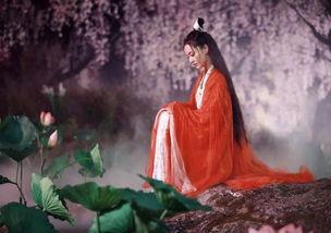 子夜吃瓜,揭秘娱乐圈背后的秘密与真相