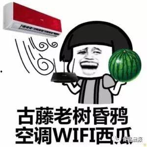许昌吃瓜梗