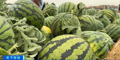 商丘幼师最近吃瓜,最新八卦速来围观！