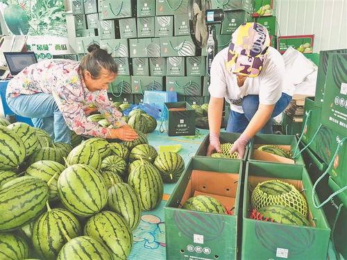 商丘幼师最近吃瓜,最新八卦速来围观！