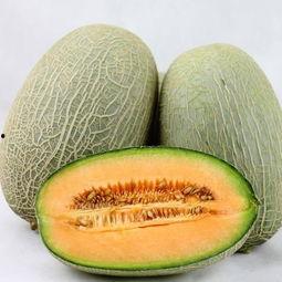吃哈密瓜功用