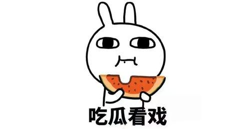 情感专家讲述吃瓜,揭秘吃瓜背后的情感密码