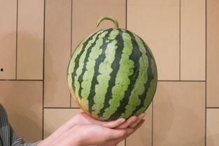 2015度吃瓜,吃瓜群众的热议焦点大盘点