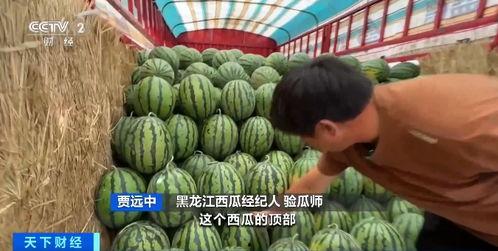 寻梦吃瓜,揭秘娱乐圈背后的甜蜜与苦涩